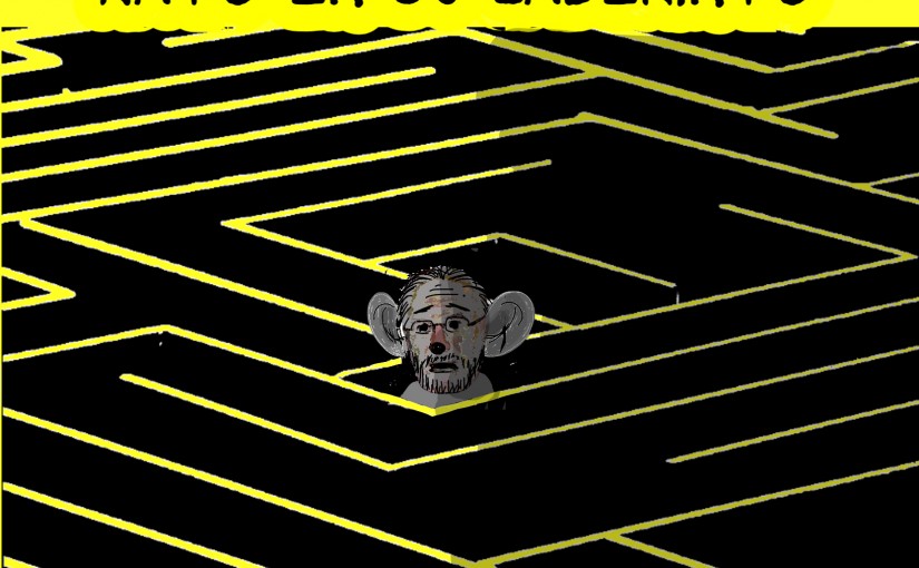 Rato en su laberinto